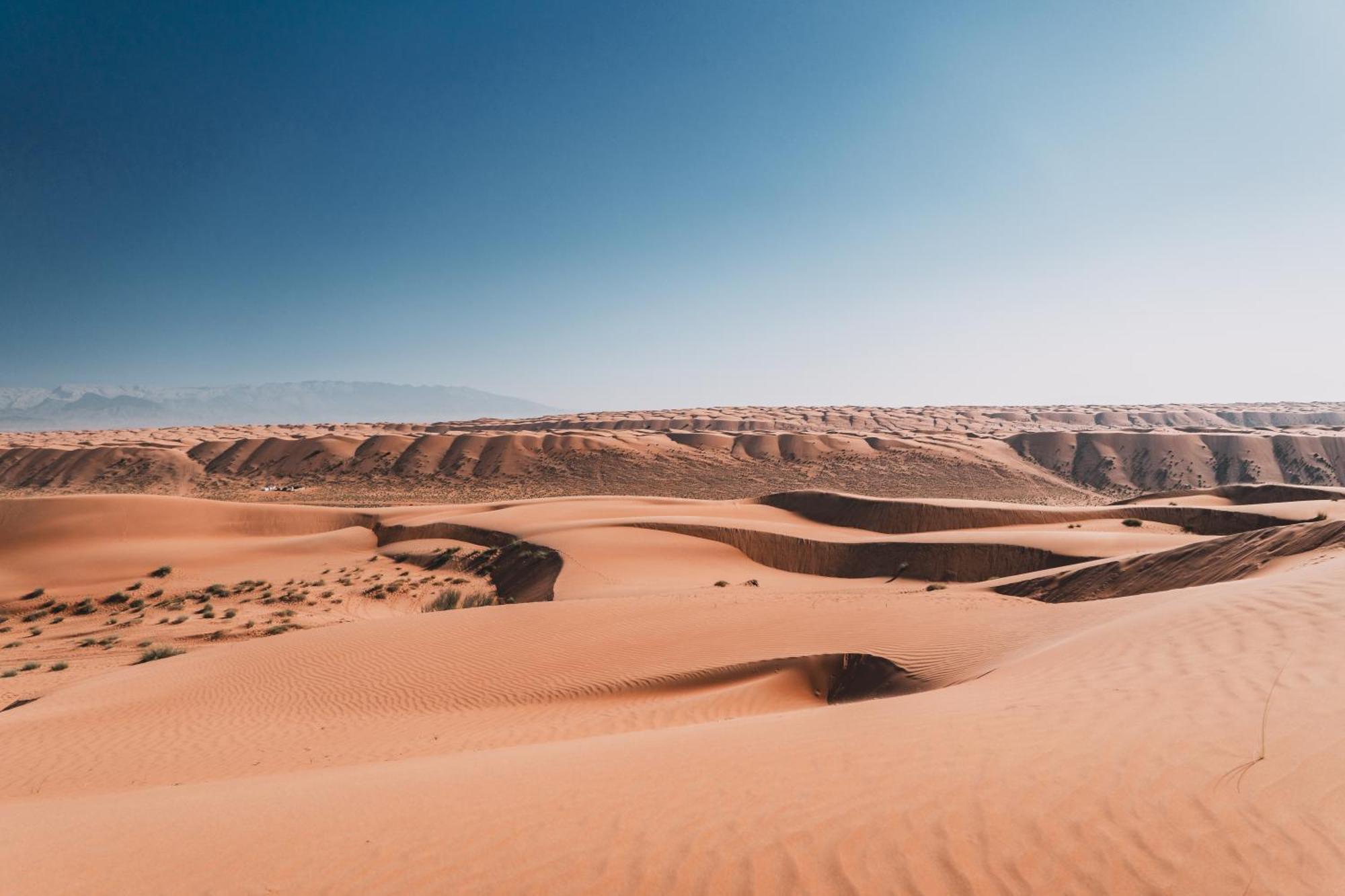 Hamood Desert Private Camp Al Wāşil Екстериор снимка