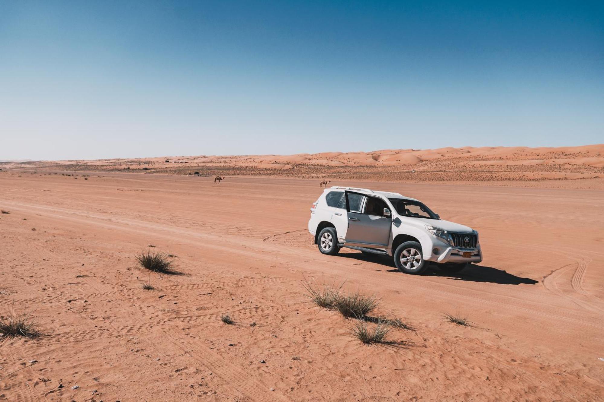 Hamood Desert Private Camp Al Wāşil Екстериор снимка