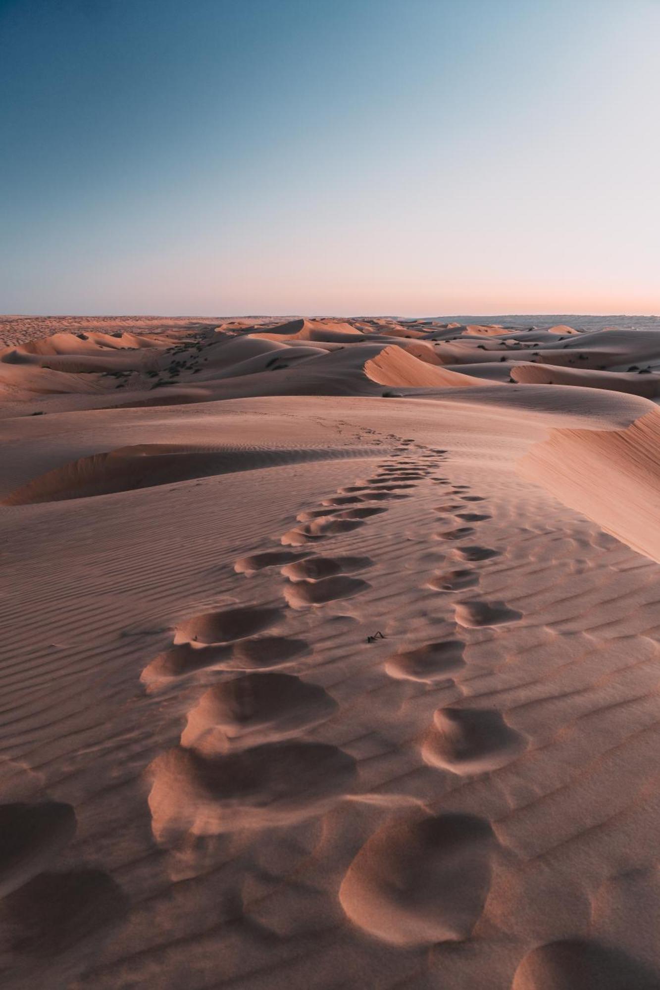 Hamood Desert Private Camp Al Wāşil Екстериор снимка