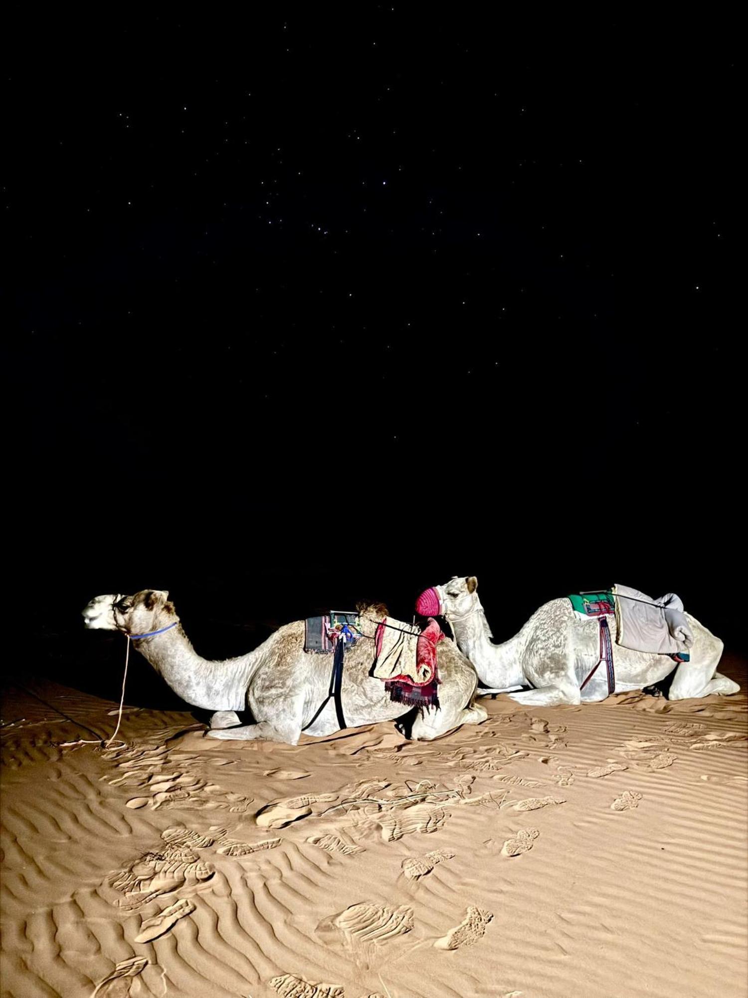 Hamood Desert Private Camp Al Wāşil Екстериор снимка